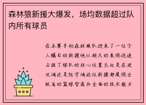 森林狼新援大爆发，场均数据超过队内所有球员