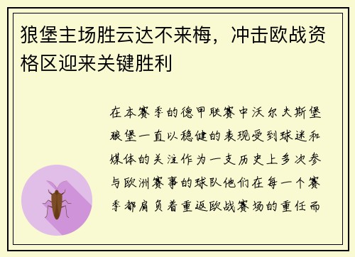 狼堡主场胜云达不来梅，冲击欧战资格区迎来关键胜利