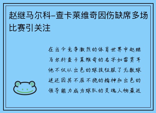 赵继马尔科-查卡莱维奇因伤缺席多场比赛引关注